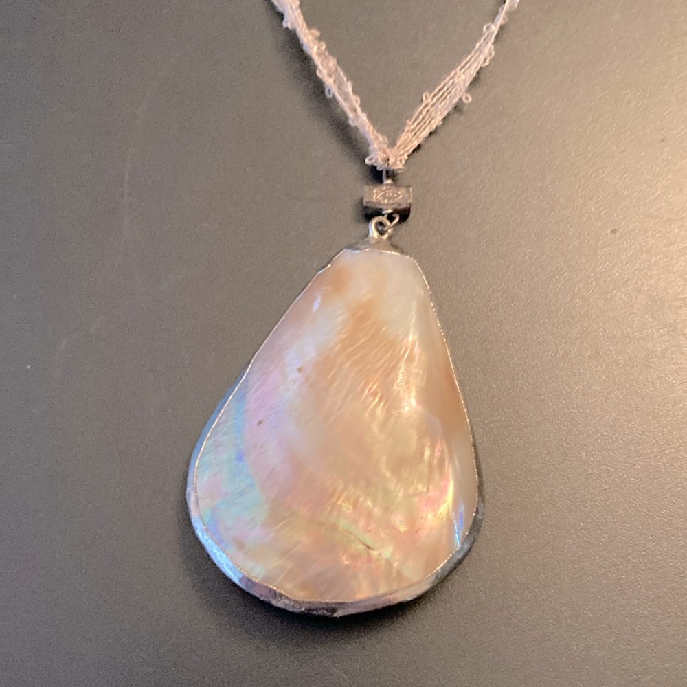 Seashell 🐚 Necklace